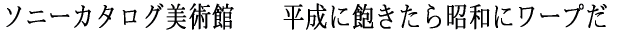 \j[J^Opف@@ɖO珺aɃ[v